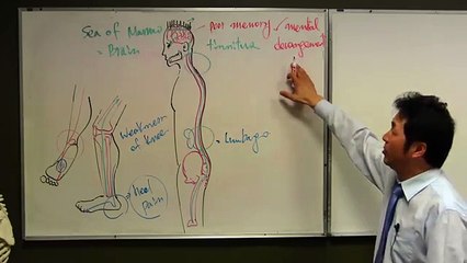 BYUNG CHOI TCM THEORY KIDNEY ORGAN KIDNEY ESSENCE KIDNEY CHANNEL (AIMMS)