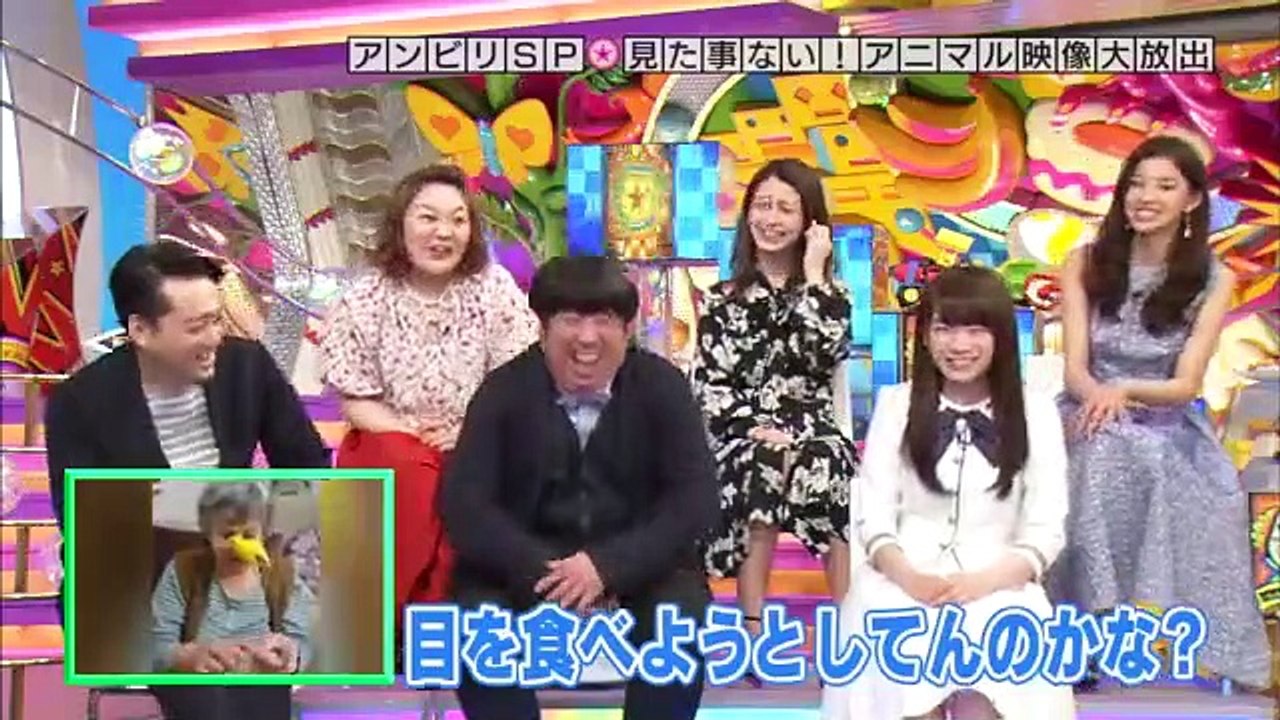 奇跡体験！アンビリバボー胸キュン！アニマル映像２時間スペシャル！！  #2  20170406...