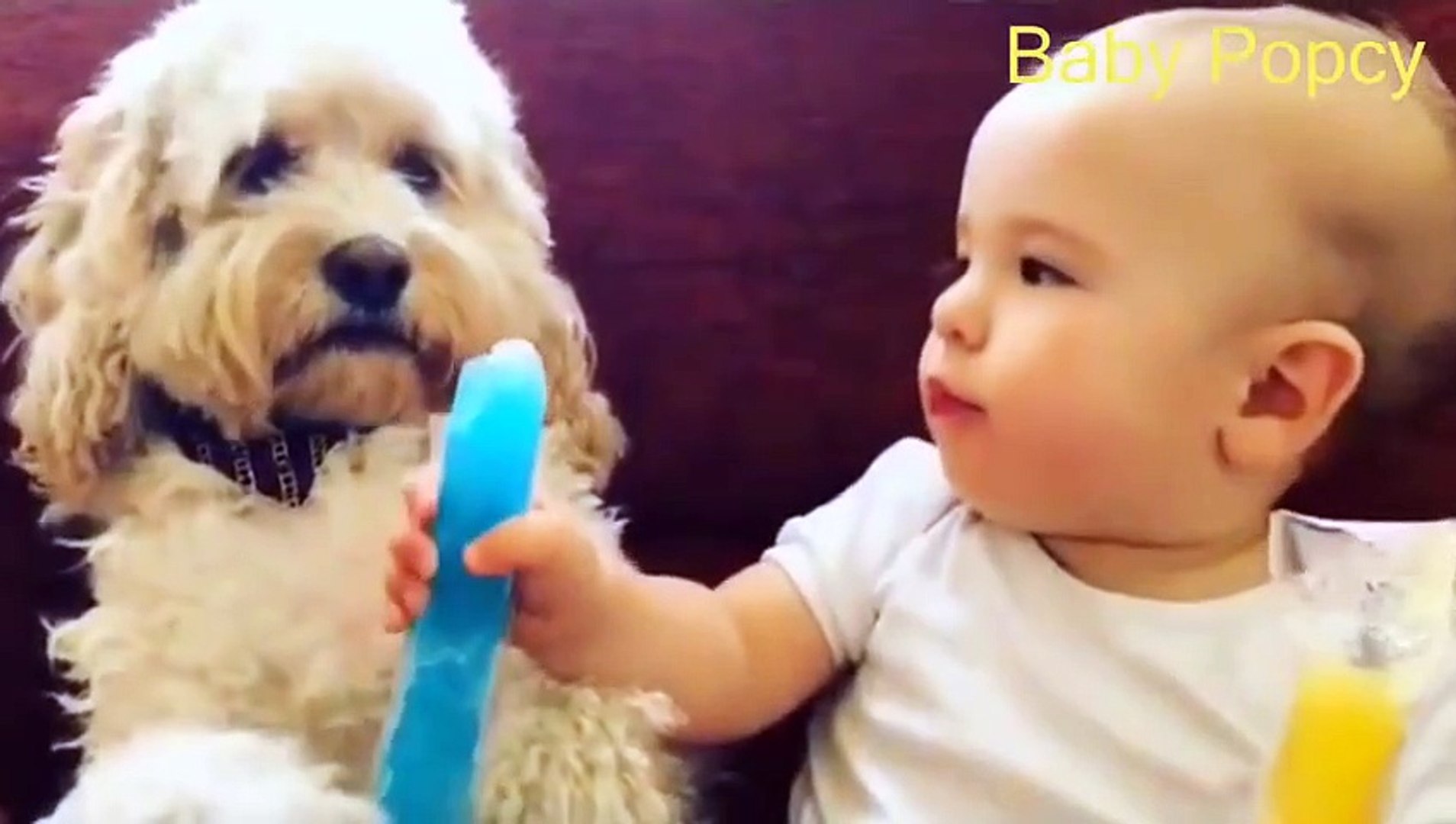 Best Funny Kids Videos 2017 ★ Kids Funny Video ★ Funny Videos For Kids ★ Funny Baby Compilation