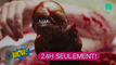Alien Covenant: Le mode de reproduction des aliens expliqué en documentaire animalier