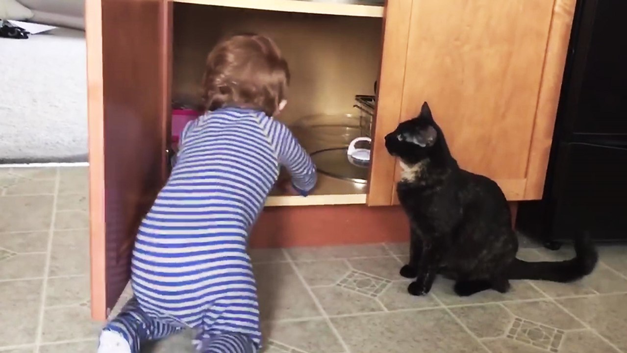 Un chat enferme un enfant dans un placard en claquant la porte