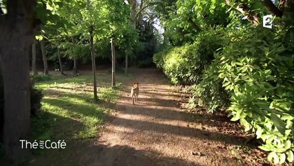 Une journée avec Véronique Sanson - Thé ou Café - 06/05/2017