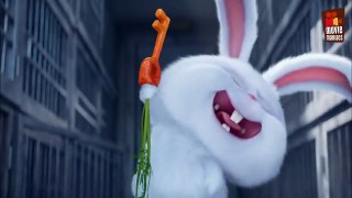 Best of Snowball - The Secret Life of Pets _ Kevin Hart-gKO01f2yMoE