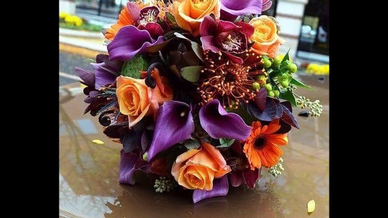 cheb Hamid et cheba Zahouania ( melek aguelbi ) , الشاب حميد و الشابة الزهوانية ( مالك أقلبي )