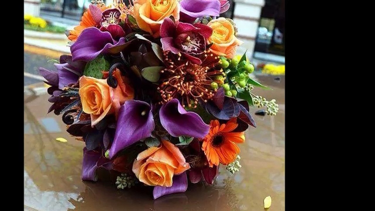 cheba Zahouania ( hbibi ) , الشابة الزهوانية ( حبيبي )