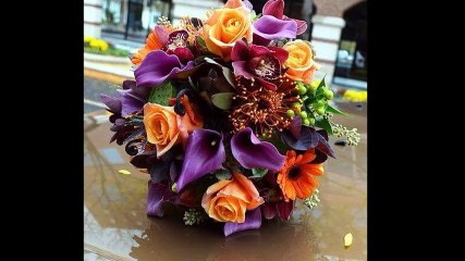 cheba Zahouania (hewlouh iwelli lia) , الشابة الزهوانية (حاولوه إولي ليا)