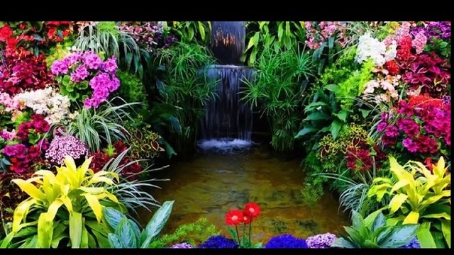 cheba Zahouania (werrini wine rak tog3ed) , الشابة الزهوانية (وريني وين راك تقعد)