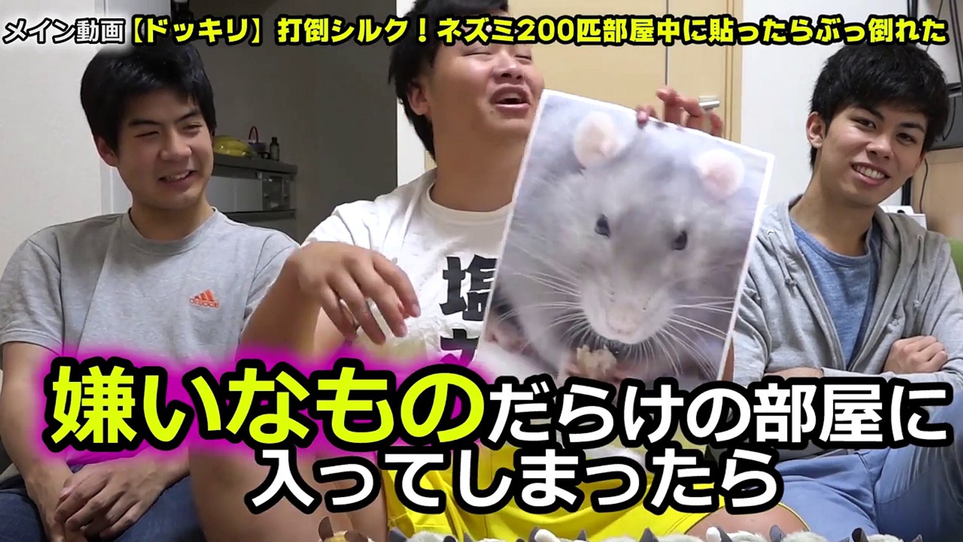 未公開 部屋中大量のネズミドッキリの未公開映像 Video Dailymotion
