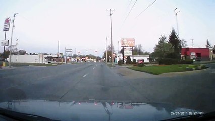 Une oie électrocutée par une ligne électrique Michigan