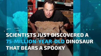 Dinosaur named after 'Ghostbusters' creature found in Montana