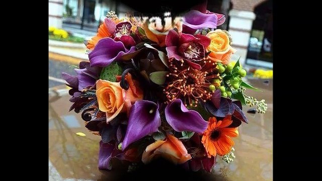 cheba Zahouania (eddeli 3e9li ourah) , الشابة الزهوانية (أدالي عقلي أوراح)