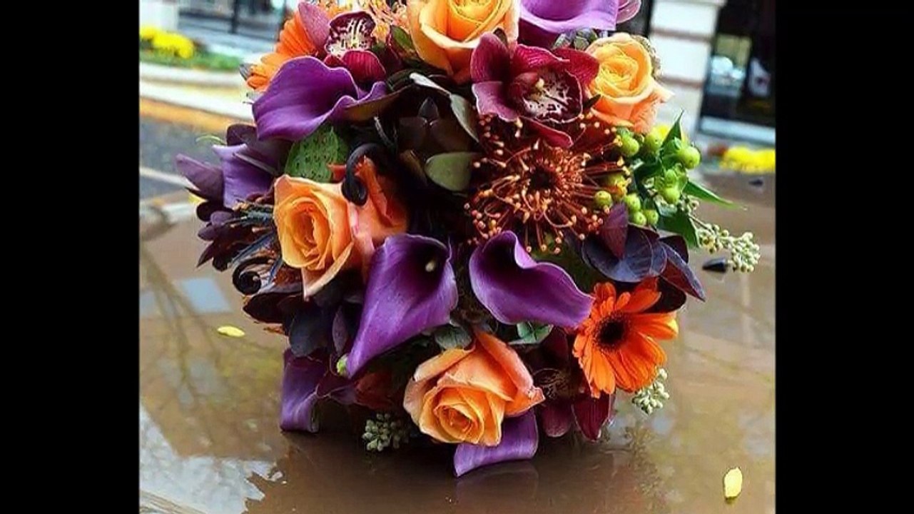 cheba Zahouania (ettaleb) , الشابة الزهوانية (الطالب)