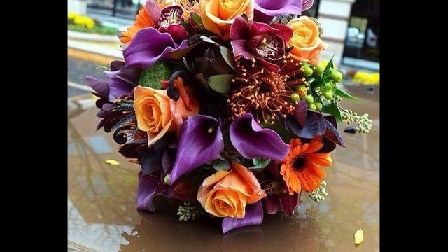 cheba Zahouania (ettaleb) , الشابة الزهوانية (الطالب)