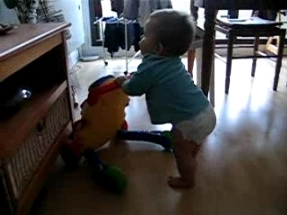 toujours en trotteur