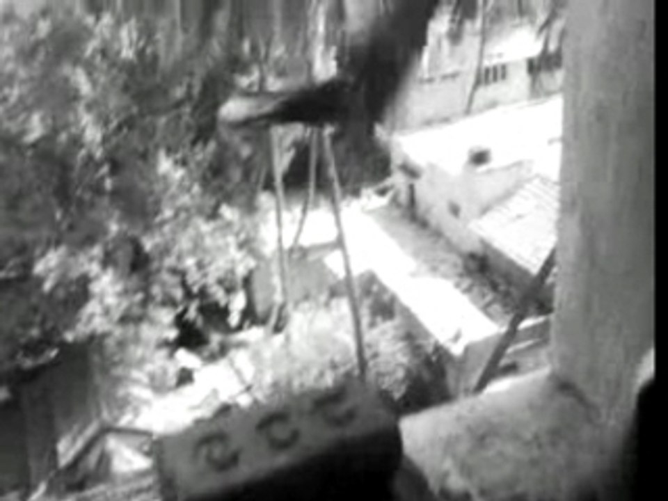Kite in Bangalore