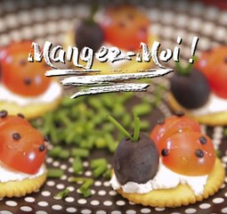 "Les crackers coccinelles" : idéal pour vos apéros !