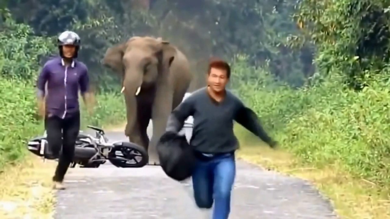 Новые Смешные Видео Приколы!13