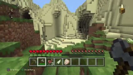 Minecraft (27)