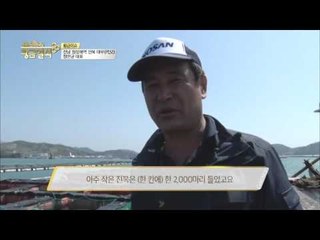 자양 건강에 최고! 최고급 전복 공개! [황금열쇠] 16회 20160423