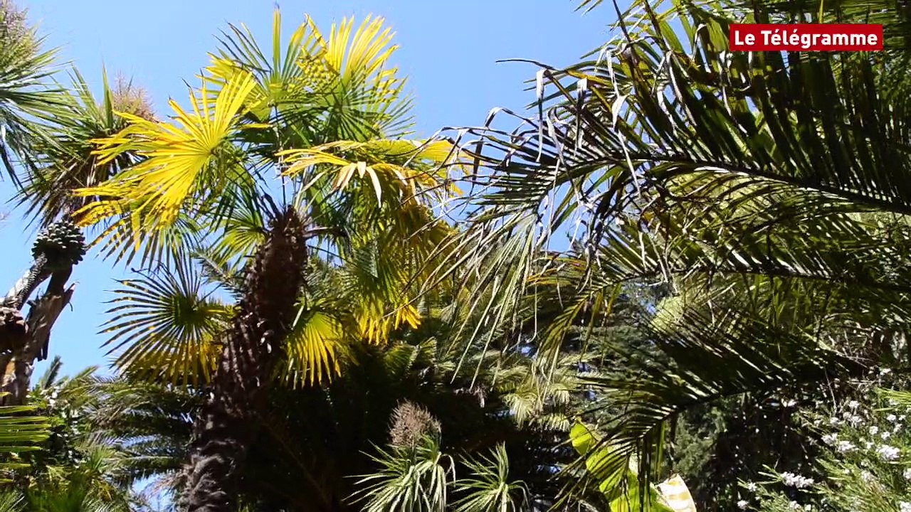 Ile de Batz. Le jardin Georges Delaselle va fêter ses 120 ans