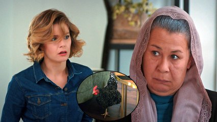 Hayat Şarkısı 53. Bölüm - Ne ettin sen Hatçe Hala!