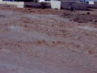 OULED DJELLAL