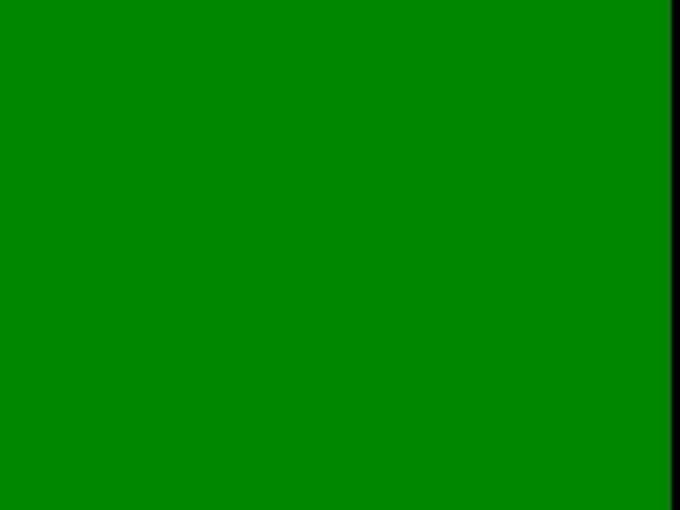 GravitationMC