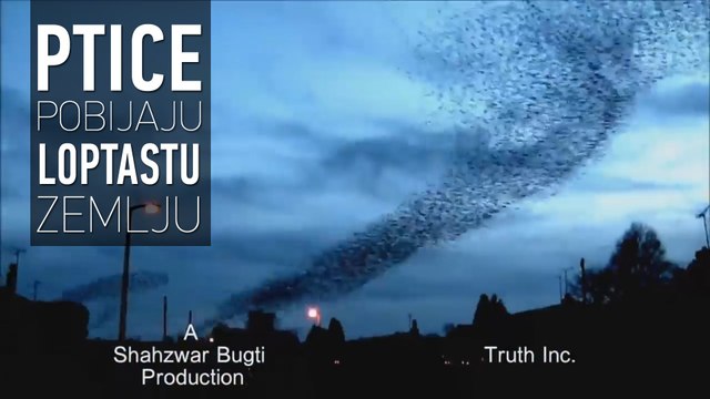 RAVNA ZEMLJA Ptice pobijaju Globus