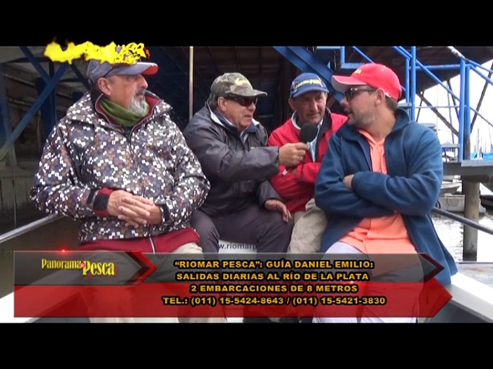 Panorama TV 331