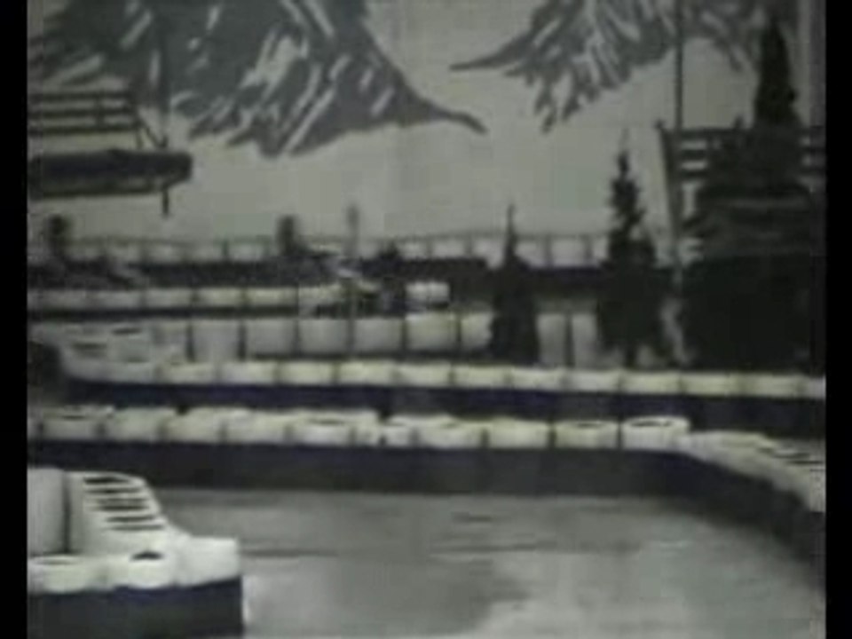 KARTING WISSOUS TMAX-MANIA MOV019