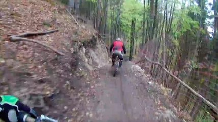 Des cyclistes font une rencontre surprenante pendant une descente !
