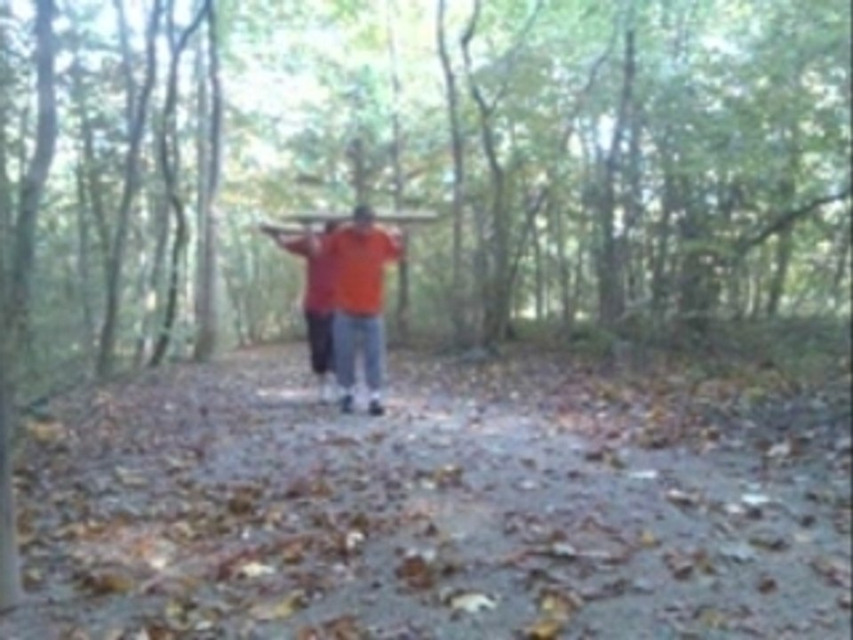 Pirates des caraibes