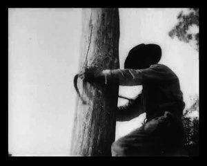 Хутора в Запорожье в 20-х годах прошлого века. Кинохроника