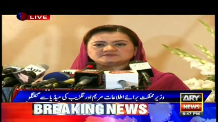 All institutions want to strengthen democracy in Pakistan: Marriyum Aurangzeb