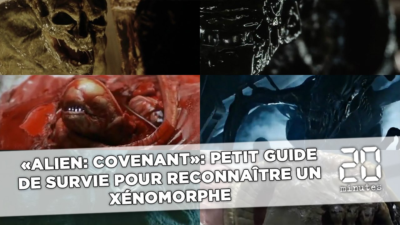 «Alien: Covenant»: petit guide de survie pour reconnaître un xénomorphe