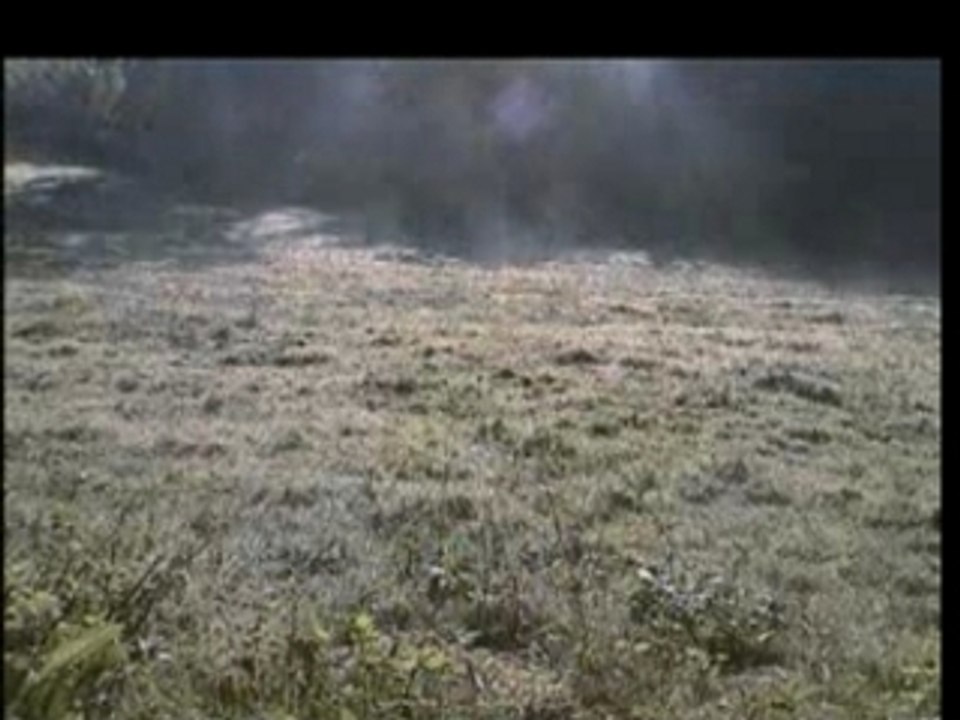 Goldfrapp - A trip to felt mountain Documentaire VO 2004