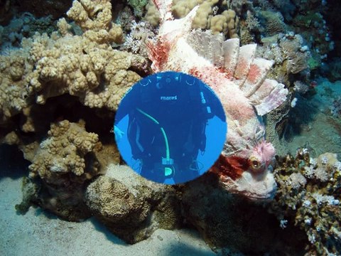 BadLads Diving Sharm 2010 Slideshow