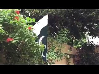 Bekaar Vines - Keep that Flag up high!! -
