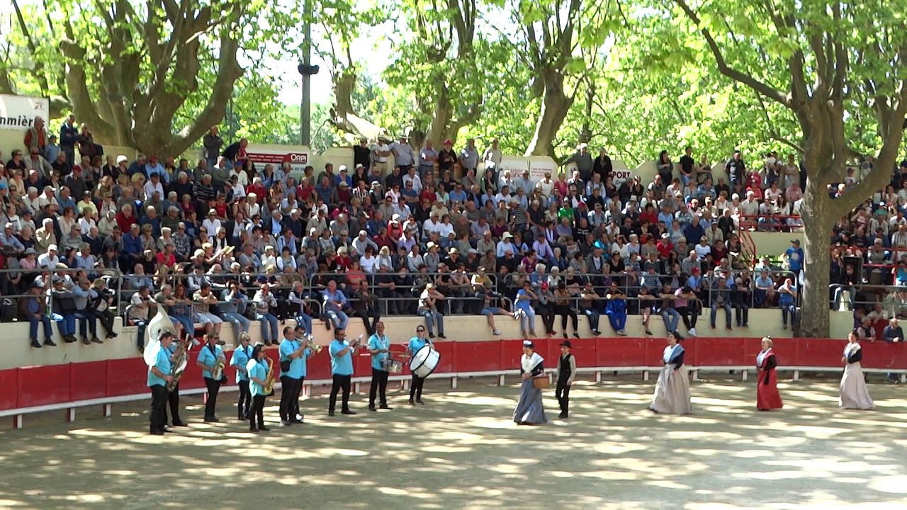 Course camarguaise.
