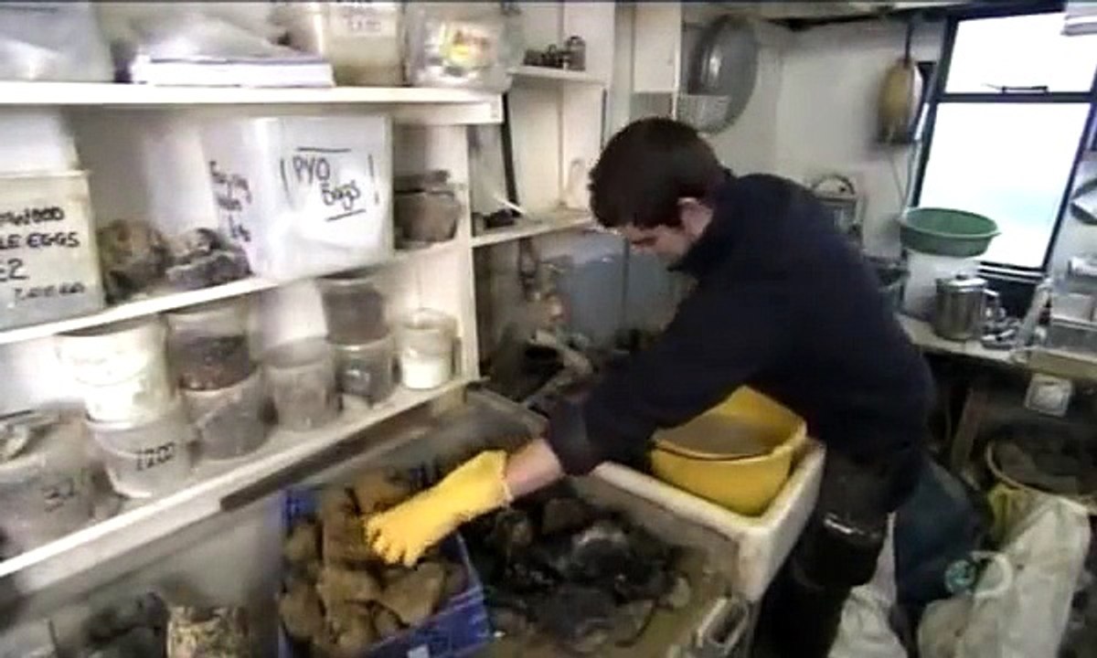 How It's Made Gemstones