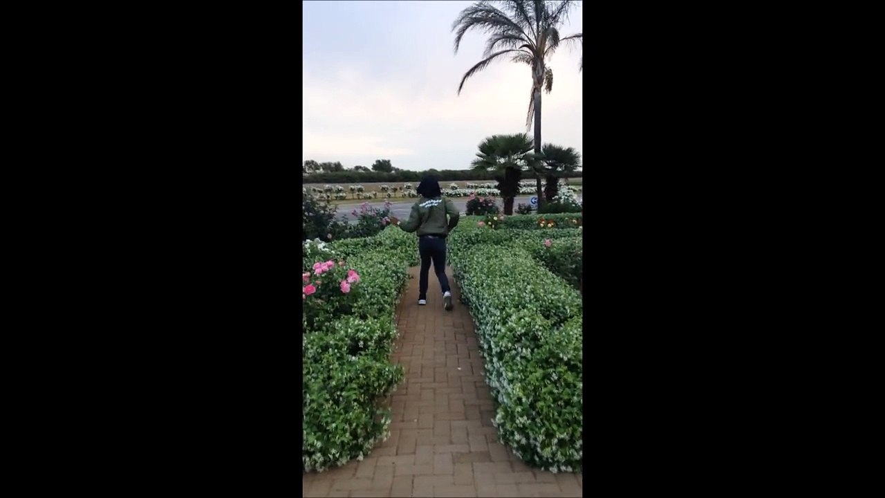 King Monada  Dikoloto Nkupi PARODY