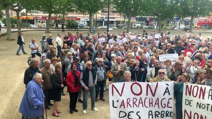 Les riverains à nouveau mobilisés contre le projet de réaménagement à Saint-Aygulf