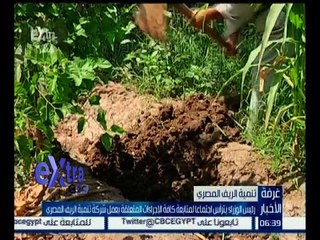 غرفة الأخبار | رئيس الوزراء يترأس اجتماعاً لتنمية الريف المصري