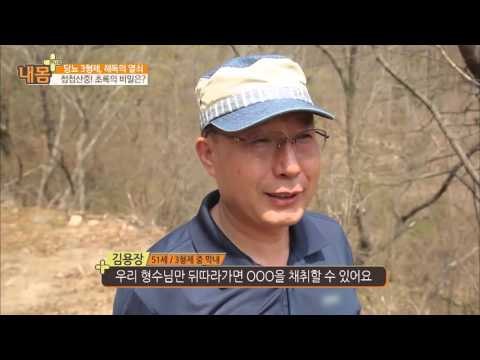 산골에서 당뇨를 극복한 3형제 [내 몸 사용설명서 플러스] 2회 20160417