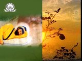 Suta Pya Mahi  | Sathran Te Soun Waleya | Singer Bhai Paritam Singh Ji Mitha Tiwana | SSG | Gurbani