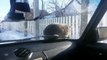 un automobiliste klaxonne un chat mais l'animal réagi de manière hilarante