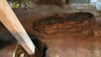 Mystery Of Miranda Is Finally Solved! Girl Who Died In 1876 Is Identified As Edith Howard Cook