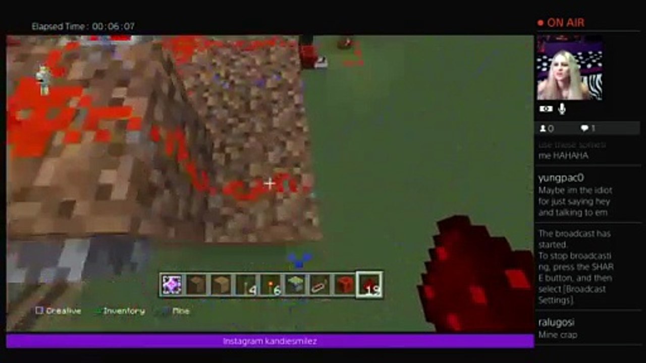 Minecraft with purplekandie (218)
