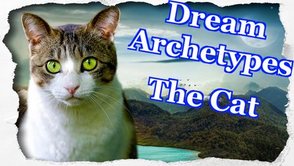 Dream Archetypes - The Cat