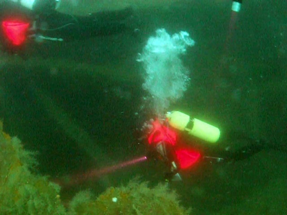 Dive Dresden 2014